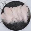 Penas decorativas de fábrica atacado penas de ganso tingidas penas coloridas diy penas flutuantes penas de enchimento