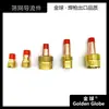 Changzhou Golden Ball Soldagem e Corte Soldagem a Arco de Argônio Série WP Corpo de Conexão Pequeno Combinado com Guia de Tela de Ar