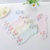 Calcetines de Barco para Aire Acondicionado de Verano 2026 Color Sólido Malla Hueca Fresca Absorbentes del Sudor Transpirables Tubo Corto Calcetines para Mujer Venta al por Mayor del Fabricante