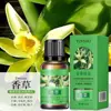 Óleo Essencial de Aromaterapia Solúvel em Óleo 10ml Fragrância de Longa Duração Máquina de Aromaterapia Difusor de Óleo Essencial Difusor de Pedra Madeira Vela de Óleo Essencial DIY
