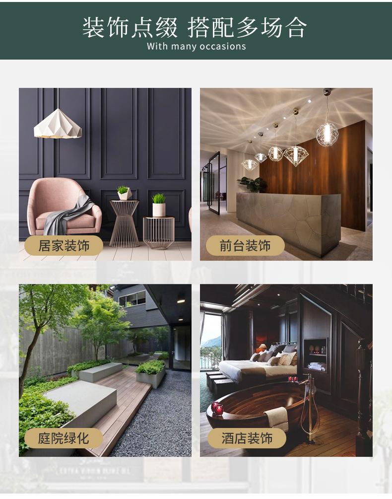 扇葵叶_13.jpg