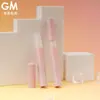 Em Estoque Tubo de Blush Skylight 3ml Frasco de BB Cream Material de Embalagem para Base Caneta Giratória Plástica Material de Embalagem Dispensadora para Cosméticos