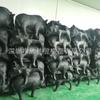 Objetivo de flecha de jabalí biónico 3D, objetivo de campo biónico animal, objetivo de flecha de ojo de buey intercambiable, soporte de punto de venta al por mayor