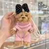 Suéter Oso Peluche Colgante Muñeca Linda Juguete Colgante de Bolso Overol Llavero con Lazo Colgante