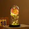 Ornamento Popular Transfronteiriço de Cúpula de Vidro com Girassol e Luz LED Flor Eterna Decoração Presente Criativo Versátil Atacado do Fabricante