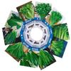 Fabricante Fonte Atacado Sementes de Hortaliças para Primavera, Verão e Outono, Melões e Frutas, Sementes, Sementes de Colza e Hortaliças