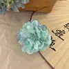 Presilhas de Cabelo Série Oceano com Flores Preservadas, Estrelas-do-Mar, Conchas e Frutas para Viagens à Beira-Mar e Fotos de Férias