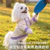 Ropa de otoño para perros, sudadera con capucha a rayas macarrón, mezcla de poliéster y algodón, forrada de forro polar, ropa cálida para gatos, ropa para mascotas