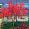 Planta en maceta de plántula de arce rojo japonés Auténtico Arce rojo chino Árbol grande Patio Danza Roja de Cuatro Estaciones Muchacha Bonsái Rojo Rojo