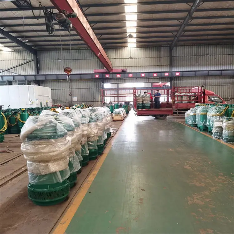 BQS500-135/2-315/N潜水泵 排污能力强 防缠绕无堵塞 BQS排沙排污潜水泵