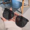 Óculos de sol femininos estilo coreano, estilo fashion, estilo coreano, estilo equitação, livro online, celebridades, fotógrafo de rua, armação grande, óculos de sol da moda