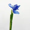 Íris com Ramos Únicos Yang Alice Decoração de Simulação Enfeites Sala de Estar Flores Secas Flores Artificiais Roxo buquê Arranjo de Flores