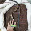 Minhocas como Materiais Medicinais Chineses: Minhocas de Xangai, Minhocas de Henan, Minhocas Sem Solo de Hainan, Fatias de Minhoca Seca, Pó de Minhoca, Minhocas Secas