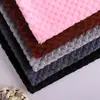 Tecido de Flanela com Abacaxi Pelúcia Babe Jacquard Pelúcia Outono e Inverno Têxtil para Casa Sapatos de Casa Tecido para Brinquedos