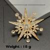 Broche Niche de Alta Gama de Copo de Nieve Traje con Pin de Estrella de Diamantes Ropa Corsage Accesorios Pin Grande Antiexposición Joyería