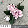 Tres grandes orquídeas de mano EVA de magnolia transfronterizas, comercio exterior al por mayor, flores falsas, tema de actividad, escena, diseño de flores de seda