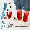 [Nuevo Producto] Calcetines para Niños Otoño e Invierno Estudiantes Calcetines Deportivos Casuales Niños Resistentes a la Suciedad Primavera y Otoño Calcetines de Caña Media Transfronterizo