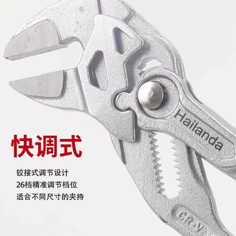 图片_202506031623265
