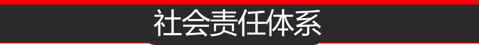 社会体系