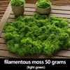 Ornatos de Arranjo de Micro-Paisagem Biomiméticos, Musgo Artificial Decorativo, Bonsai Artificial, Grama de Musgo Falsa, Gramado para Paisagismo