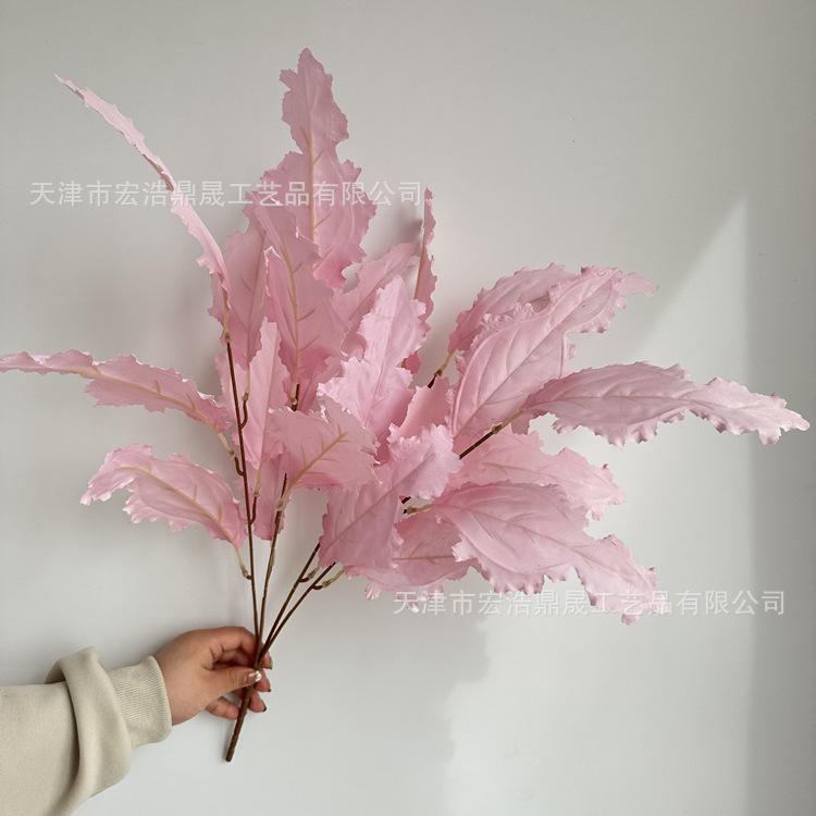 微信图片_2023032416470710_副本