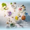 Vela Navideña Oceánica Forma de Lentejuela Vela Aromática Cera de Soja Colorida Taza de Vela de Caracola Caja de Regalo Recuerdo