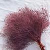 Dream Grass Flor Eterna Rosa Flor Seca Gracilaria diy Material Pacote ins Wind Decoração Yunnan Cross-border Atacado