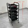 Novo Carrinho de Cabeleireiro, Carrinho de Ferramentas para Salão de Beleza, Carrinho de Cabeleireiro Multifuncional, Carrinho para Permanente e Coloração de Barbearia, Carrinho de Armazenamento