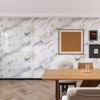 Pegatinas de Pared Imitación Panel de Aluminio-Plástico, Papel Tapiz Impermeable Autoadhesivo, Papel Tapiz en Rollo Mármol para Sala de Estar, Pegatinas Anti-Manchas de Aceite para Cocina