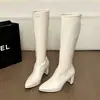 Elegantes y minimalistas botines de estilo coreano para mujer, nueva colección otoño/invierno 2026, caña alta, tacón grueso, adelgazantes, puntera fina, botas de moda