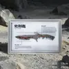 Mercadorias do jogo Delta: Faca de carrasco pele arma de metal 22cm modelo ornamento colecionável adereço sem fio