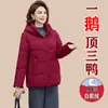 Chaqueta de plumón de alta gama, ultracálida para mujer, nuevo estilo invernal, diseñada para madres de mediana edad y mayores, con plumón de ganso blanco engrosado para abrigo y protección contra el viento