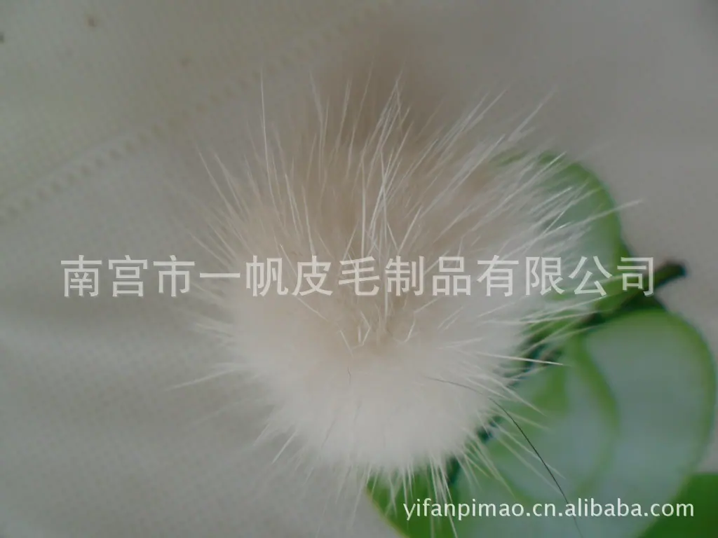 SAM_1479