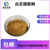 Extracto de Angélica Blanca 10:1 Polvo de Angélica Blanca Ophiopogonina Xi'An en Stock Envío Gratis Extracto de Angélica Blanca