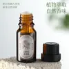 Aceite Esencial de Aromaterapia sin Fuego para Uso en Hotel y Hogar, Piedra Difusora de Aroma de Larga Duración, Líquido de Recarga para Difusor de Fragancia, Venta al por Mayor de Regalos