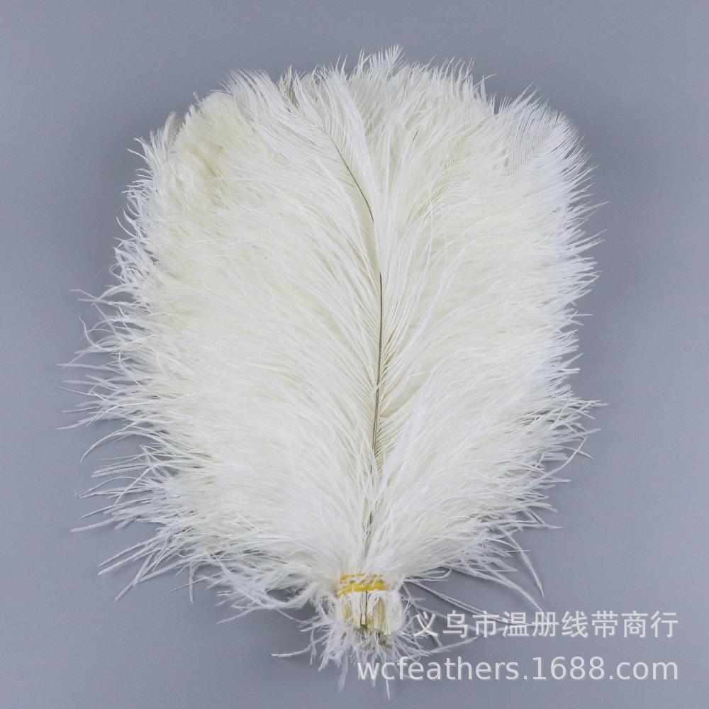 TS0130012 30-35cm ostrich feat