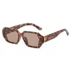 Gafas de Sol Negras Irregulares de Marco Pequeño, Nuevo Estilo Facial, Gafas de Sol de Moda de Pasarela con Personalidad, Gafas de Sol Transfronterizas de Moda para Mayoristas