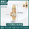 Calentador de Agua Eléctrico Haier Midea Tubería de Agua Válvula de Alivio de Presión Automática Válvula de Seguridad Caldera Tanque de Gas Compresor de Aire Vapor de Escape