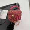 Bolsa Pequena de Lã Feminina 2024 Outono e Inverno Nova Popular Online Estilo Ocidental Corrente Transversal Pequena Quadrada Mini Bolsa de Mão tipo Balde