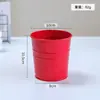 Maceta Pequeña de Hierro Adorno de Escritorio, Decoración Personalizada, Maceta Pequeña para Suculentas, Maceta Simple Creativa Estilo Americano para Plantas Verdes