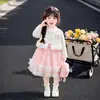 Traje de Otoño para Niña Estilo Francés Pequeño Vestido de Princesa con Mangas Largas de Malla Hinchado Conjunto de Dos Piezas para Cumpleaños de Bebé