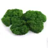 Musgo Filamentoso de Simulação de Alta Qualidade Planta Verde Artificial de Simulação Planta em Vaso Micro Paisagismo Casamento Decoração de Paisagismo Externo Gramado