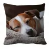 Funda de Almohada de Gato Más Vendida en Temu, Funda de Almohada de Animales Linda y Divertida, Funda de Cojín Decorativa para Dormitorio, Hogar, Sofá, Venta al por Mayor