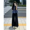 Conjunto Completo de Roupa, Estilo Novo, Camisa de Manga Curta Xadrez Azul Rejuvenescedora, Conjunto de Duas Peças Jeans Wide Leg, Moderno