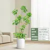 Forma Pie de Pato Madera Sala de Estar Maceta Grande Planta Verde Interior Sala de Estar Grande de Pie Flor Real Pila Vieja Pie de Pato Madera