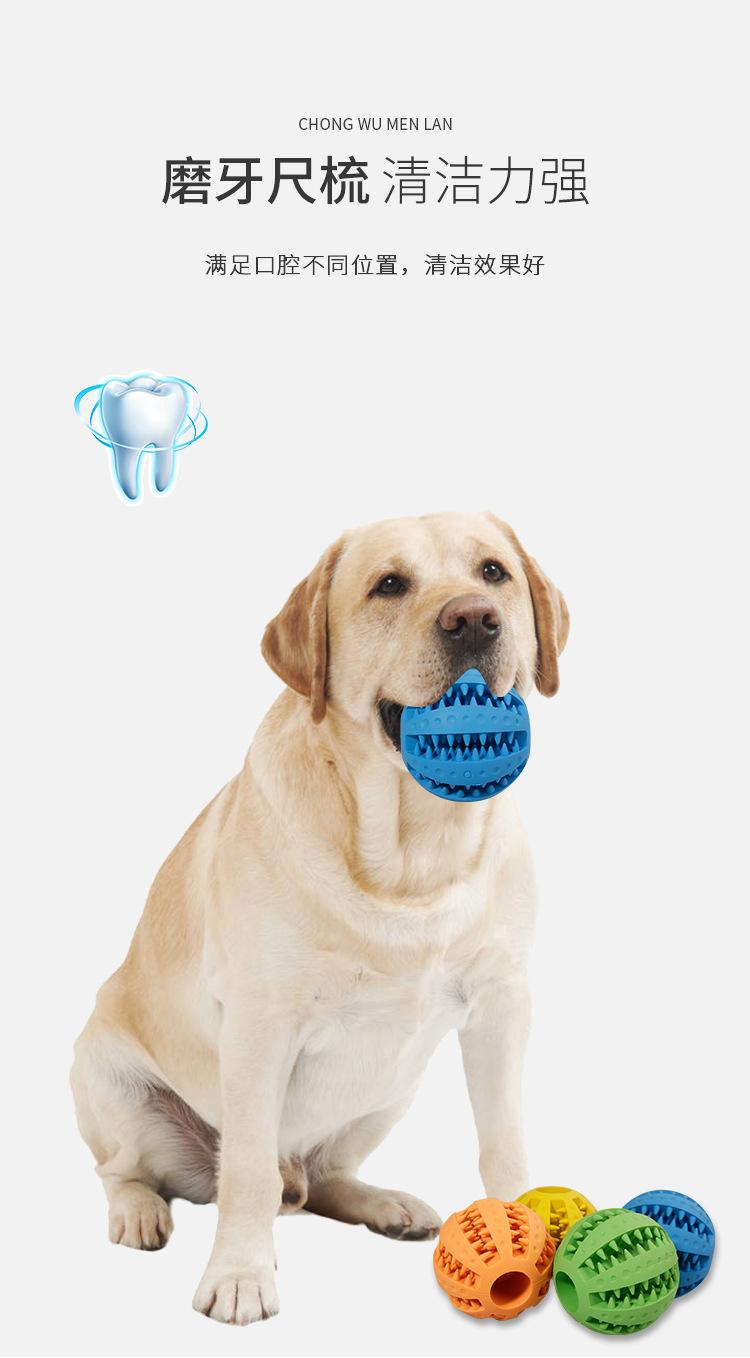 波点磨牙球 (18).jpg