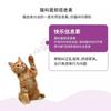 Essência Sem Lavagem para Pets Sabonete Corporal para Pets Desodorante para Gatos e Cachorros Limpeza Essência de Limpeza a Seco Lenço Banho Fabricante