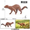 Modelo de simulação de animal sólido transfronteiriço Lêmure Capivara Mangusto Doninha Gecko Alpaca Boi-almiscarado Boi-shougong Cobra Coelho
