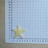Accesorios de Estrella de Mar Transparentes Brillantes Súper Grandes DIY Hechos a Mano Pinzas para el Cabello Funda para Teléfono Zuecos Bolsa para Zapatos Caja de Almacenamiento Materiales al por Mayor