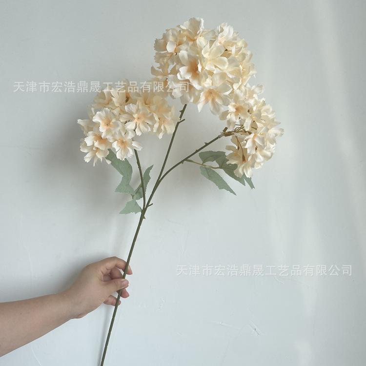 微信图片_202207211439002_副本